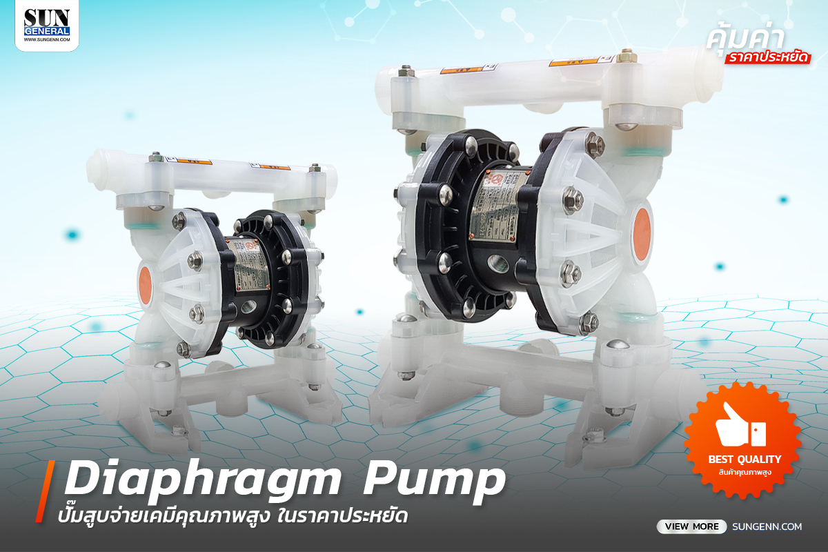 Diaphragm Pump - ปั๊มสูบจ่ายเคมีคุณภาพสูง ในราคาประหยัด 1 ปั๊มเคมี Diaphragm Pump