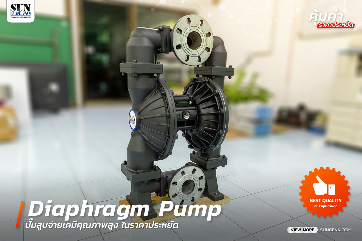 Diaphragm Pump รุ่น BFQ-80 – ปั๊มสูบจ่ายเคมีคุณภาพสูง ในราคาประหยัด