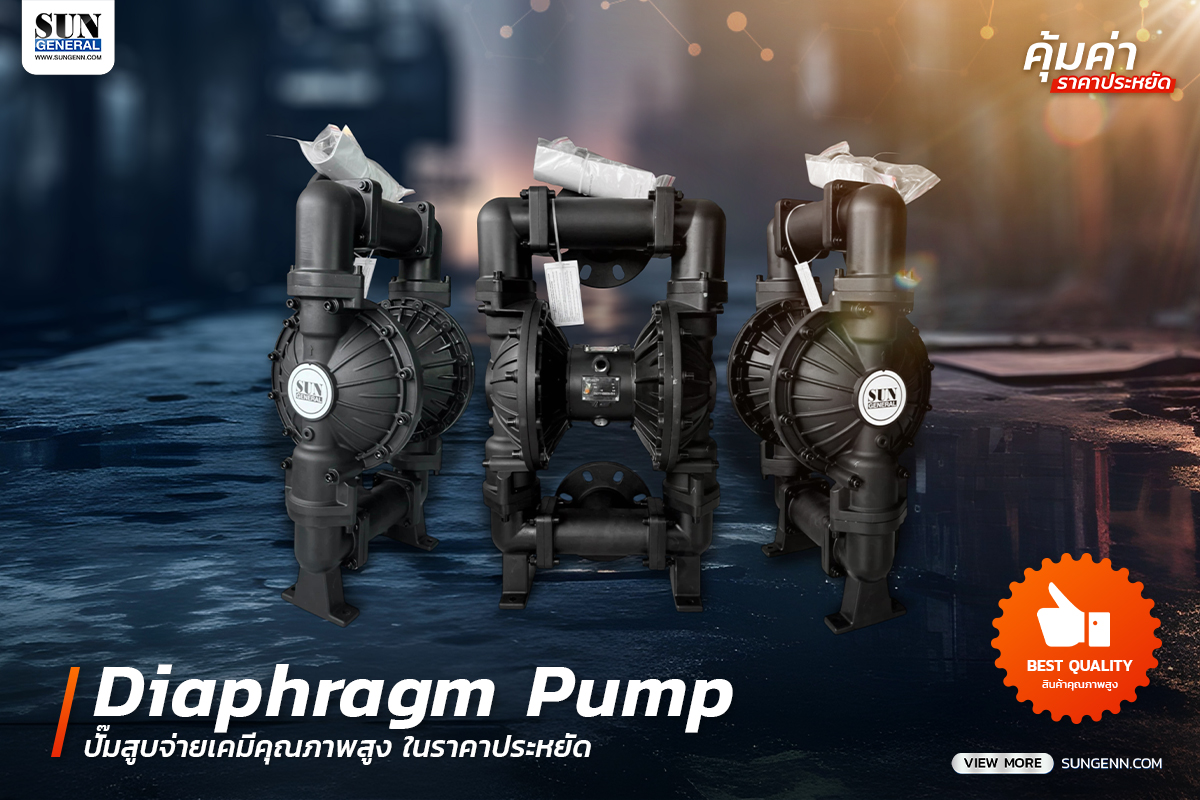 thbn Diaphragm Pump 17 04 2025 ปั๊มเคมี